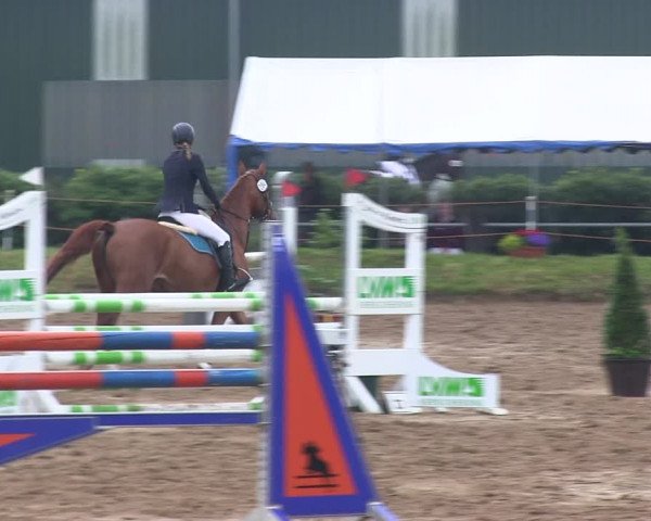 Reitturnier Rantrum 2019