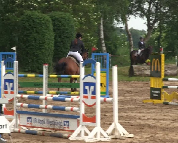 Reitturnier Rantrum 2019
