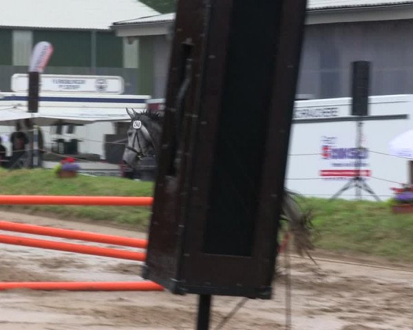 Reitturnier Rantrum 2019