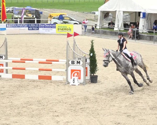 Reitturnier Galgenen 2019