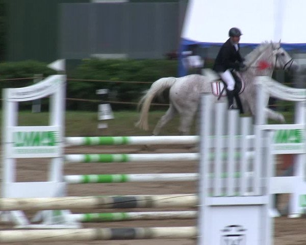 Reitturnier Rantrum 2019