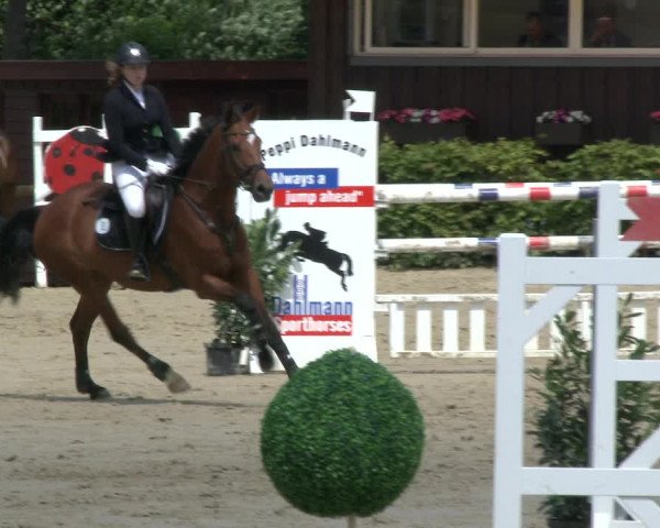 Reitturnier Fröndenberg 2019