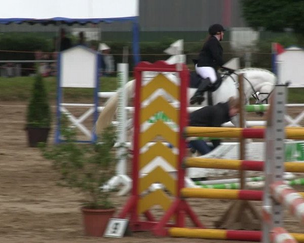 Reitturnier Rantrum 2019