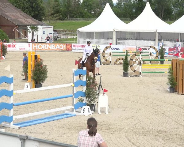 Reitturnier Galgenen 2019