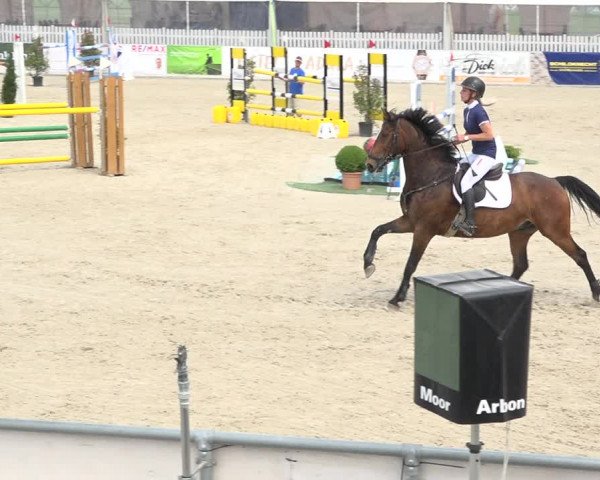 Reitturnier Galgenen 2019