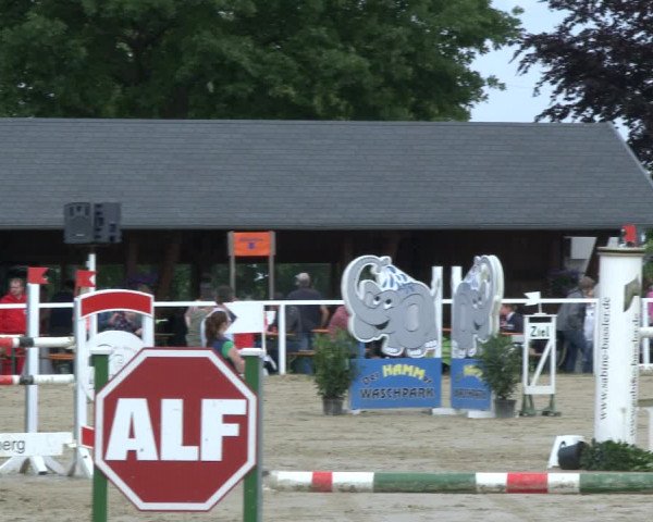 Reitturnier Fröndenberg 2019
