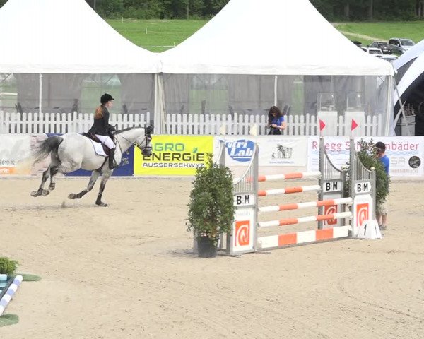 Reitturnier Galgenen 2019