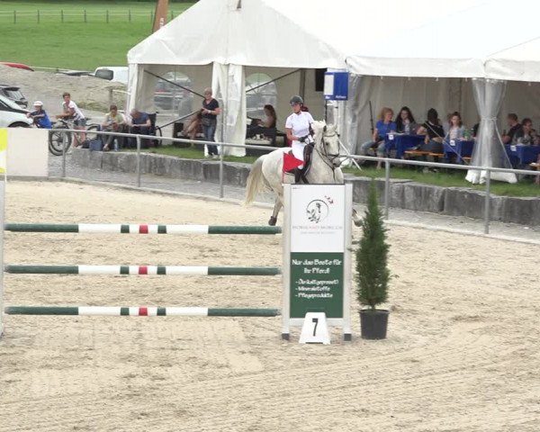 Reitturnier Galgenen 2019