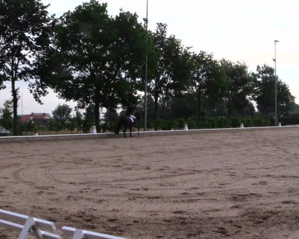 Reitturnier Fröndenberg 2019