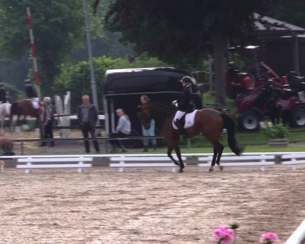 Reitturnier Fröndenberg 2019