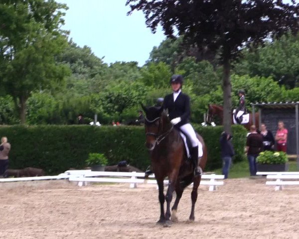 Reitturnier Fröndenberg 2019