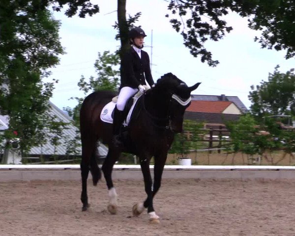 Reitturnier Fröndenberg 2019