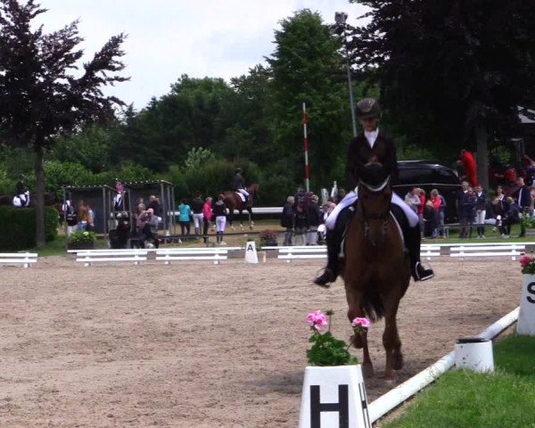 Reitturnier Fröndenberg 2019