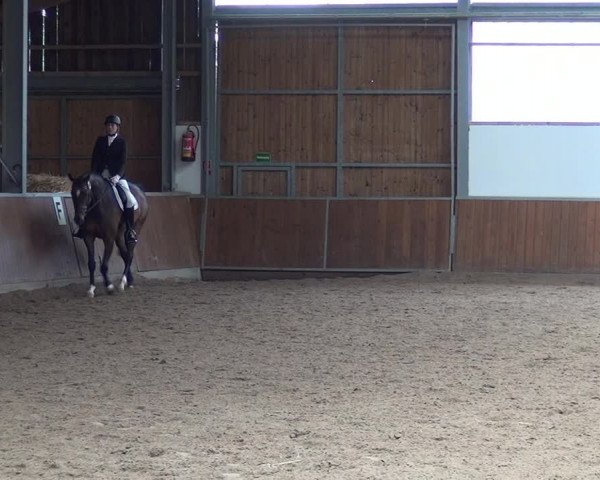 Reitturnier Fröndenberg 2019