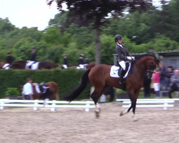 Reitturnier Fröndenberg 2019