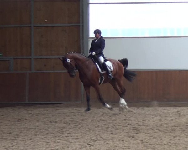 Reitturnier Fröndenberg 2019