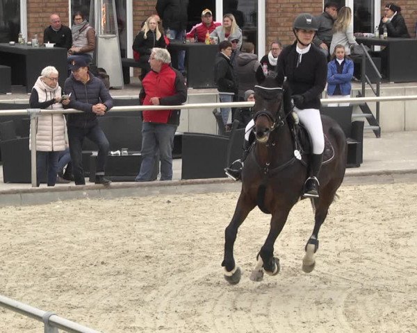 Reitturnier Durmersheim-Hardt 2021