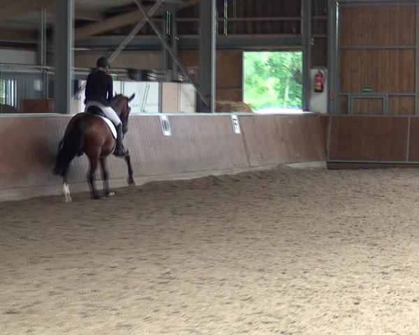 Reitturnier Fröndenberg 2019