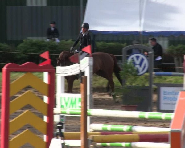Reitturnier Rantrum 2019