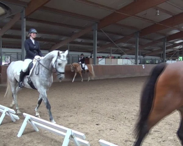 Reitturnier Fröndenberg 2019