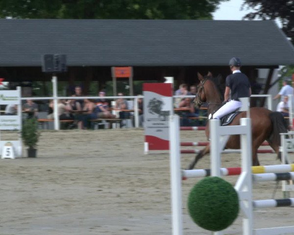 Reitturnier Fröndenberg 2019