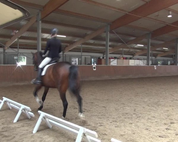 Reitturnier Fröndenberg 2019