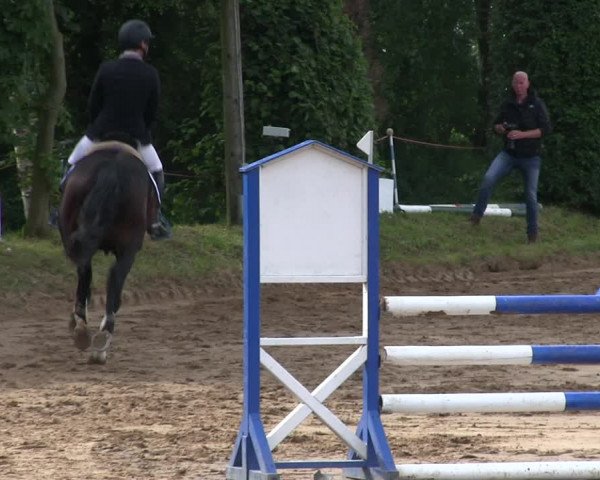 Reitturnier Rantrum 2019