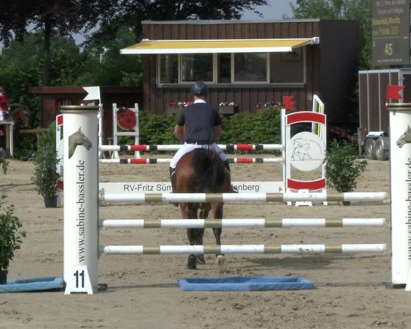 Reitturnier Fröndenberg 2019