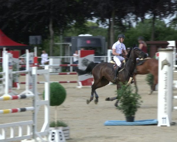 Reitturnier Fröndenberg 2019
