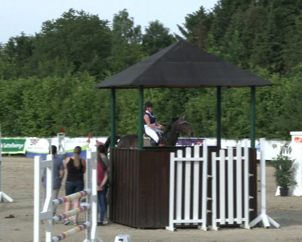 Reitturnier Fröndenberg 2019