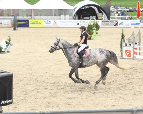 Reitturnier Galgenen 2019