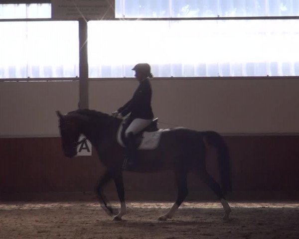 Reitturnier Fröndenberg 2019