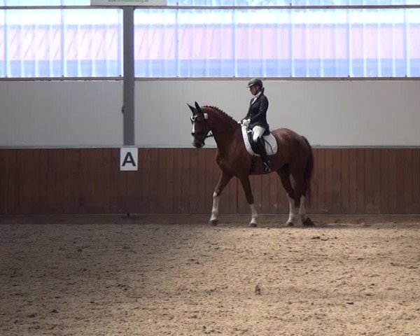 Reitturnier Fröndenberg 2019
