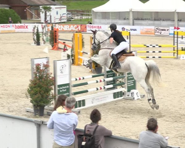 Reitturnier Galgenen 2019