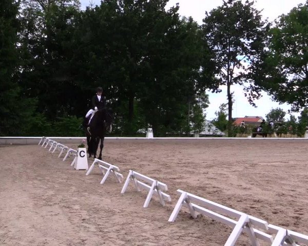 Reitturnier Fröndenberg 2019