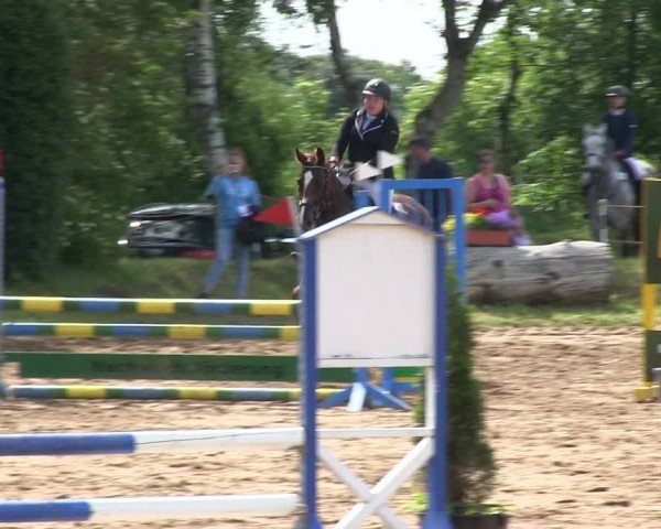 Reitturnier Rantrum 2019