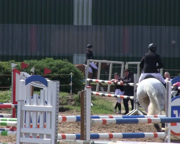 Reitturnier Rantrum 2019