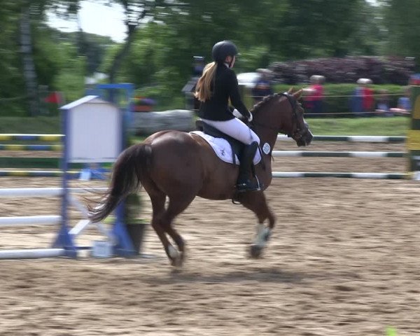 Reitturnier Rantrum 2019