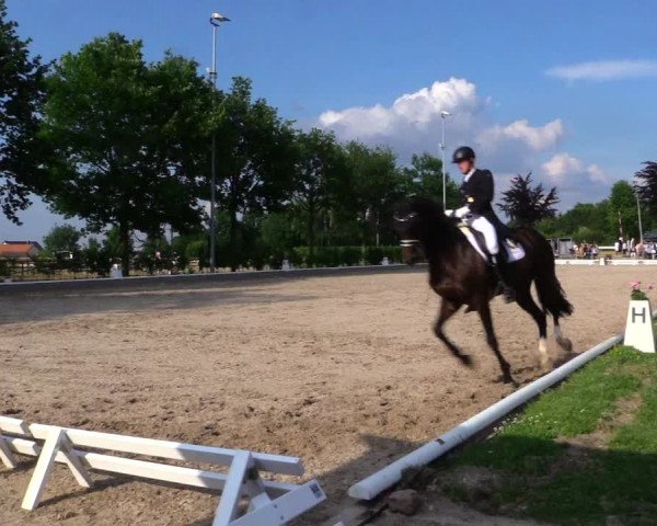 Reitturnier Fröndenberg 2019