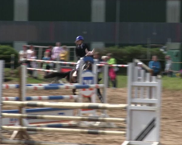 Reitturnier Rantrum 2019
