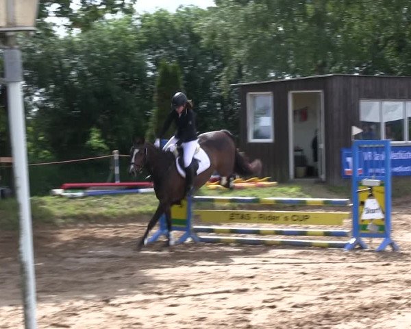 Reitturnier Rantrum 2019