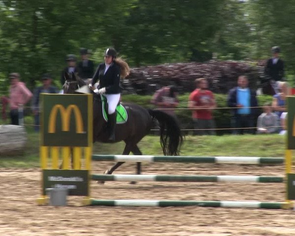 Reitturnier Rantrum 2019