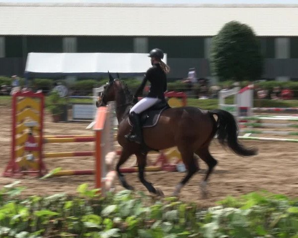 Reitturnier Rantrum 2019