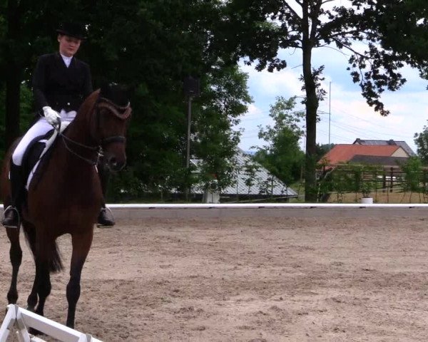 Reitturnier Fröndenberg 2019