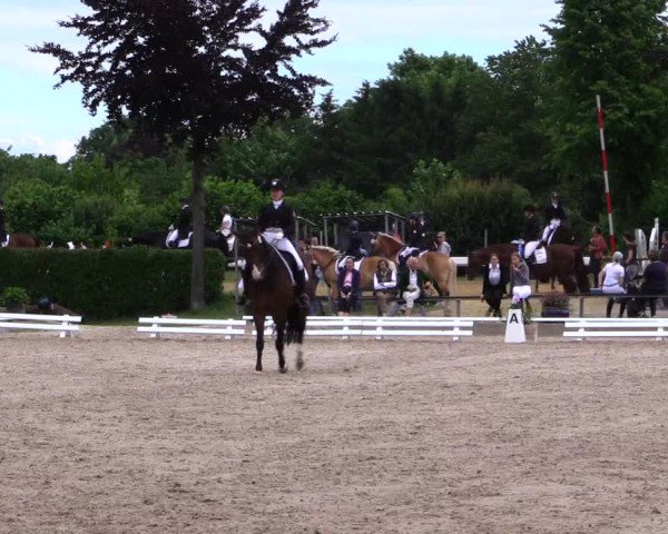 Reitturnier Fröndenberg 2019