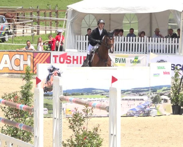 Reitturnier Galgenen 2019