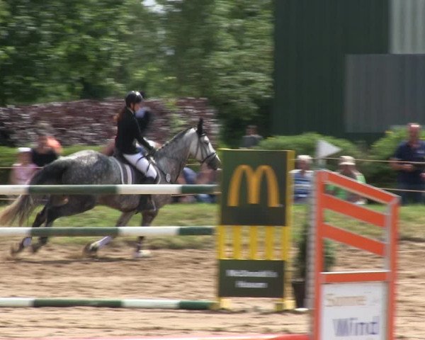 Reitturnier Rantrum 2019