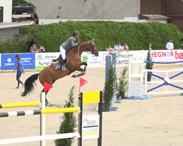 Reitturnier Galgenen 2019