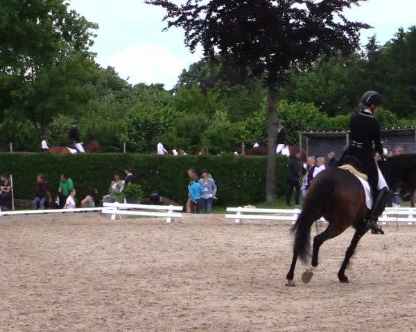 Reitturnier Fröndenberg 2019