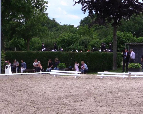 Reitturnier Fröndenberg 2019